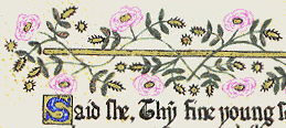 One of the booklet's borders