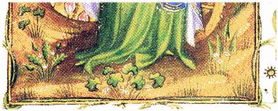 Michellno's delicate little plants