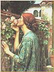 My Sweet Rose